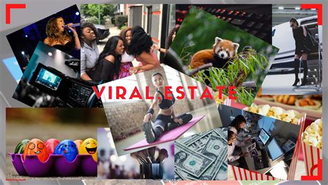 viraland property management services|Viraland Property Management Services .